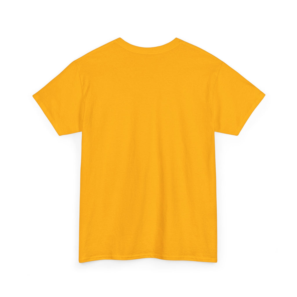 Pittsburgh Steelers Vintage Helmet T‑Shirt