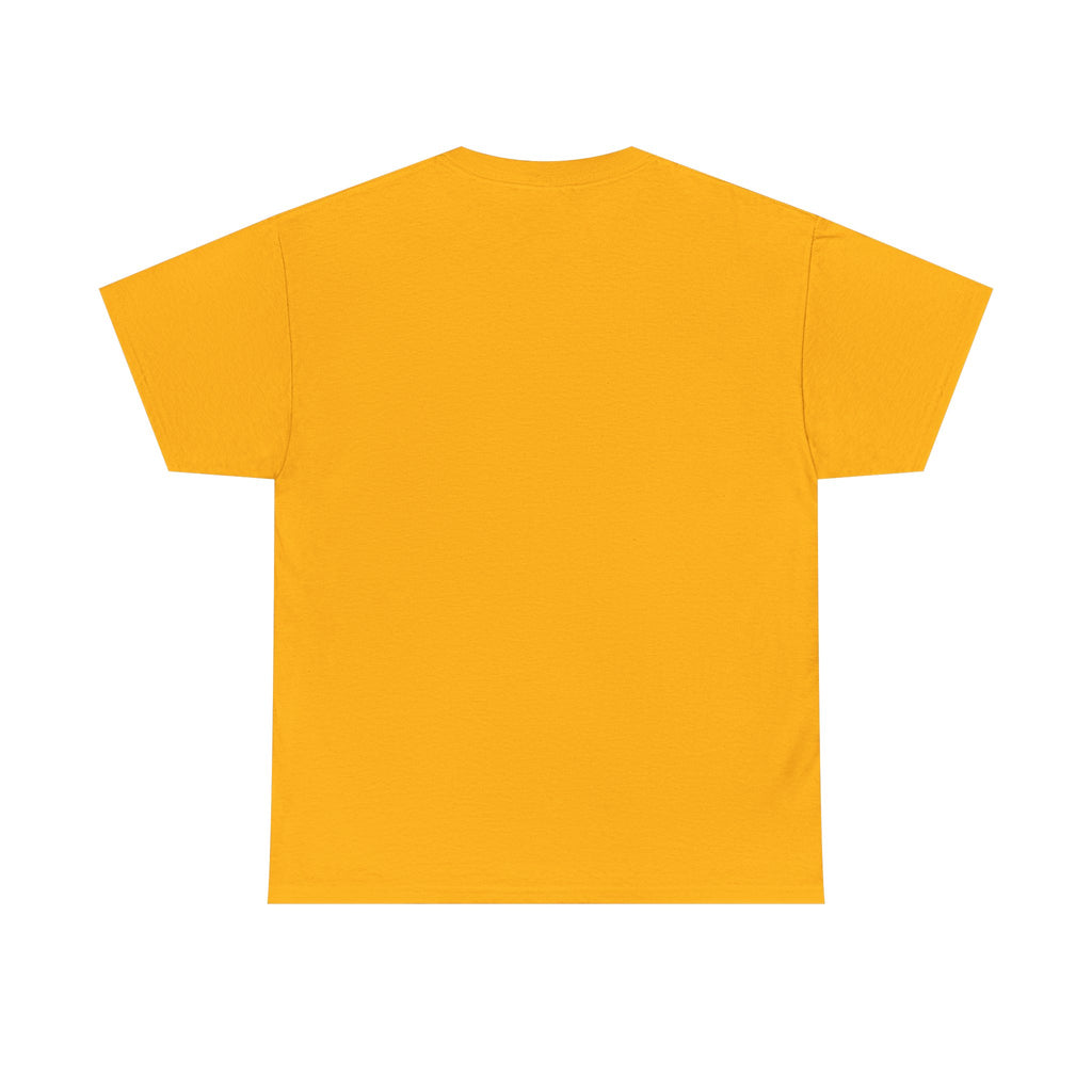 Pittsburgh Steelers Vintage Helmet T‑Shirt