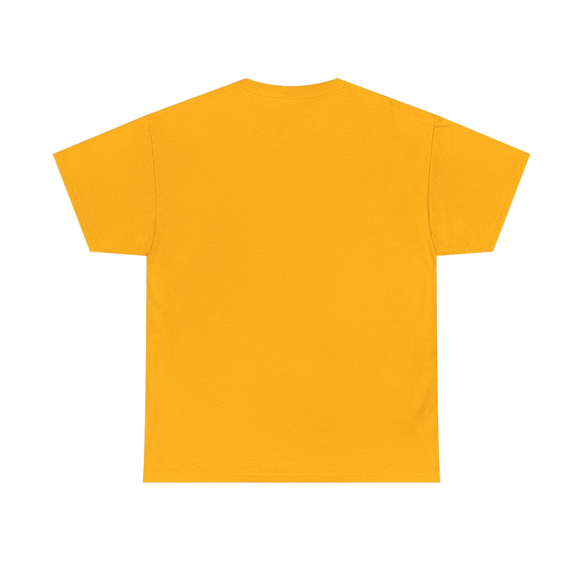 Pittsburgh Steelers Vintage Helmet T‑Shirt