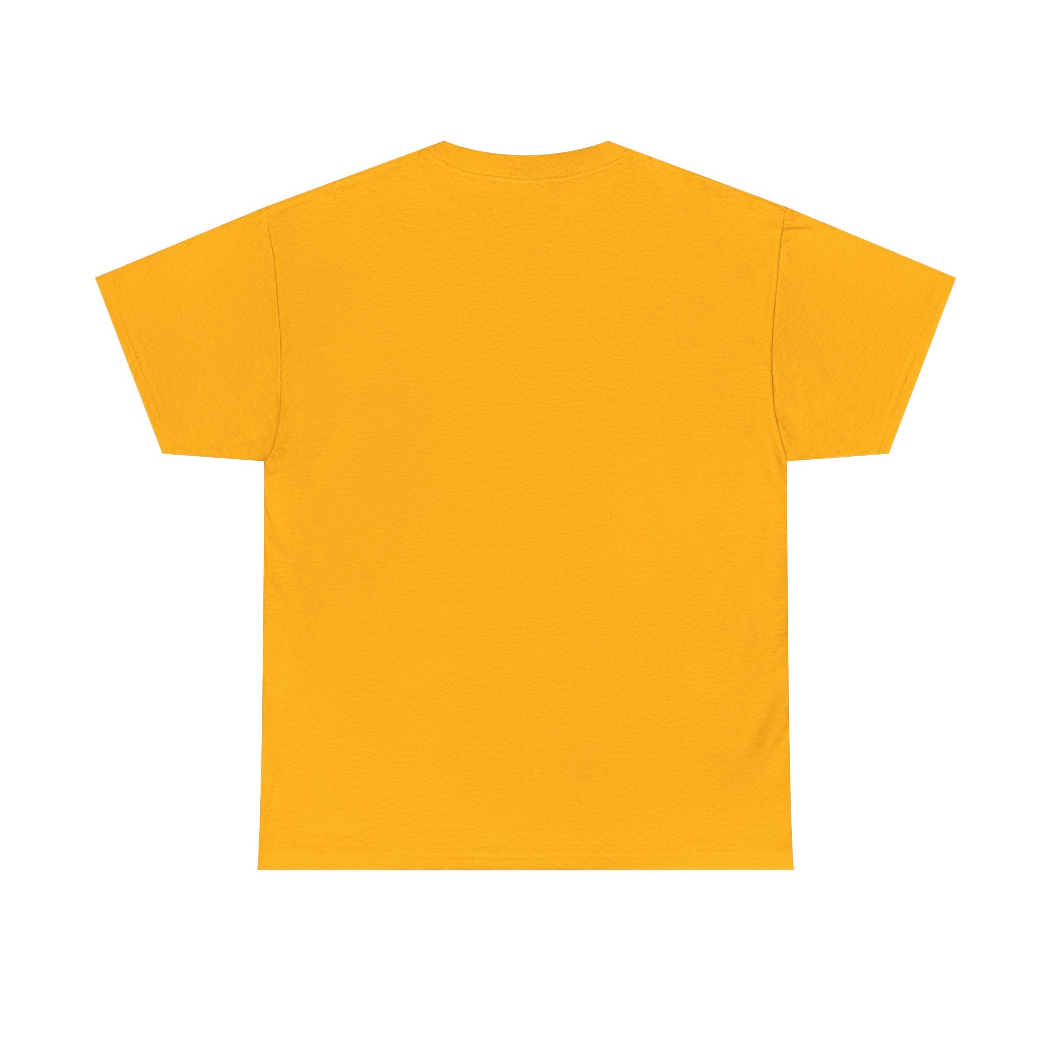 Pittsburgh Steelers Vintage Helmet T‑Shirt