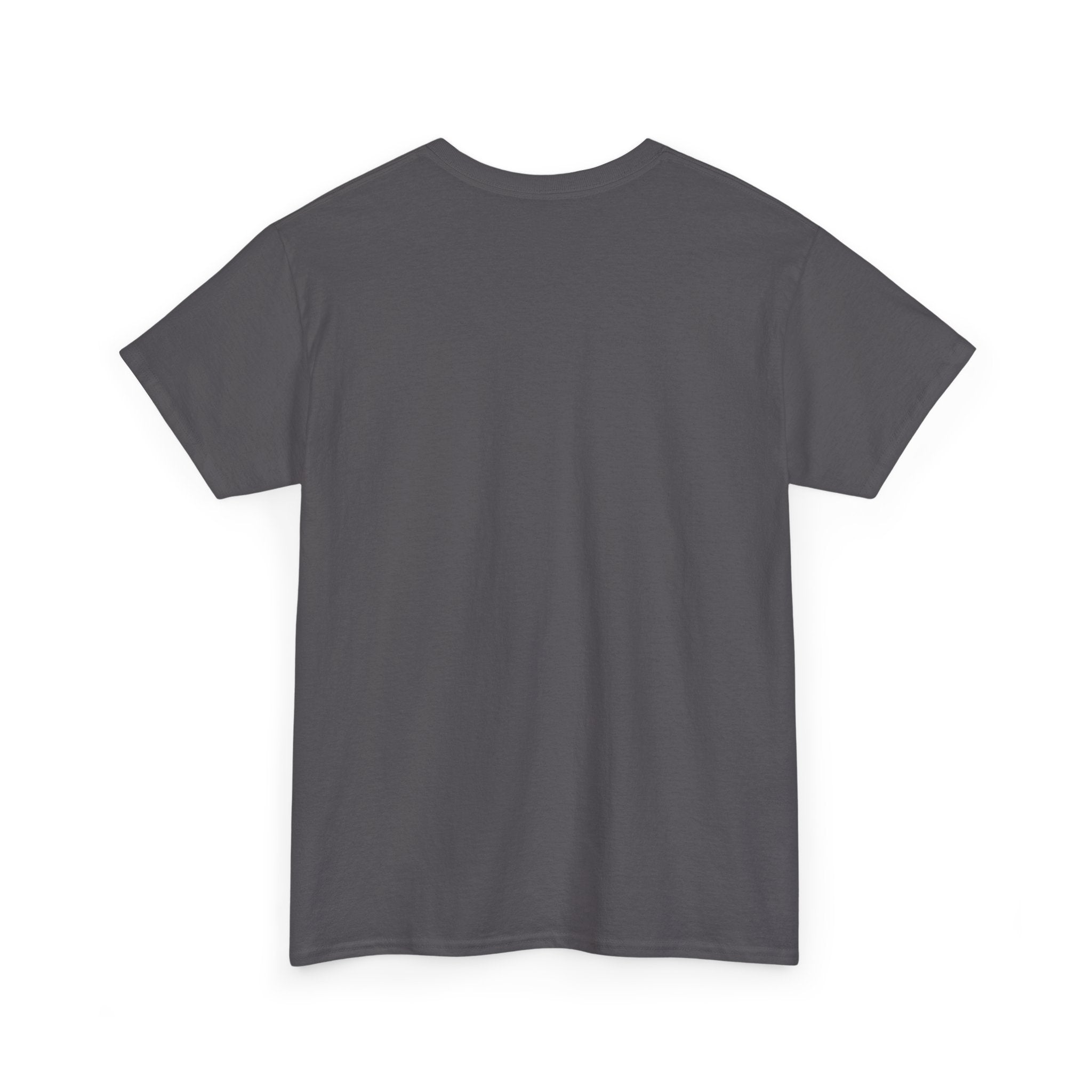 Pittsburgh Steelers Vintage Helmet T‑Shirt